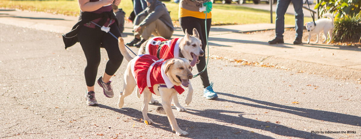 Santa Paws 5K & Fun Run
