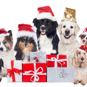 Team Page: DHG Raleigh